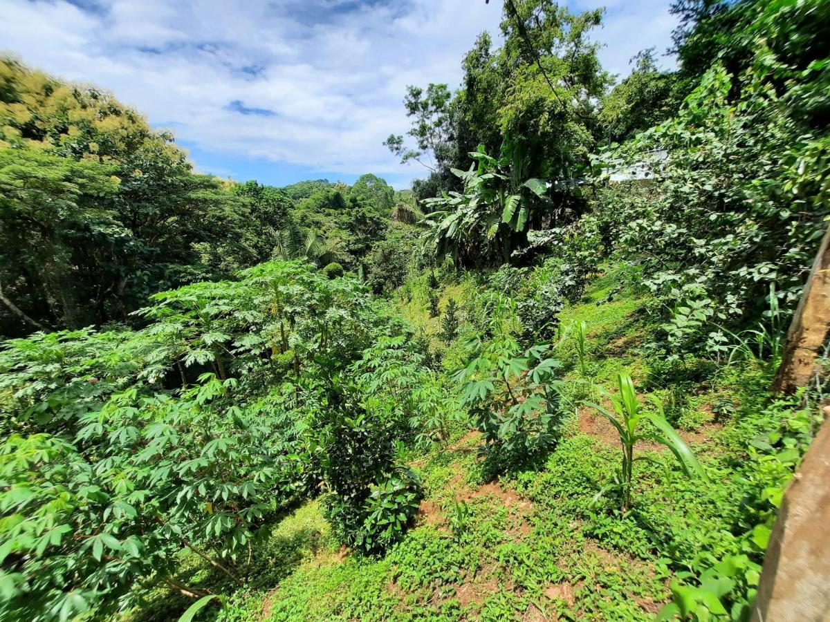 Eco-Turismo Guayacanes Sámara Exteriör bild