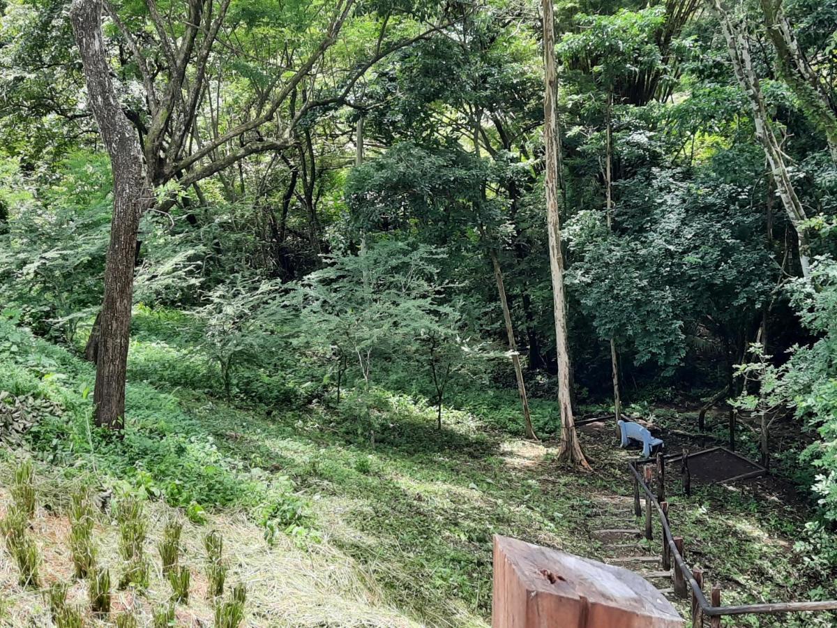 Eco-Turismo Guayacanes Sámara Exteriör bild